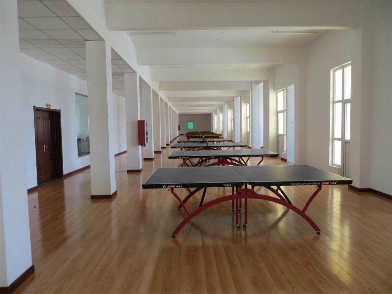 ��������long8ЬҵԱ�������2